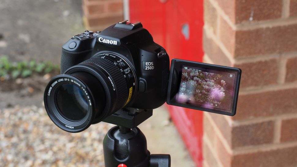 Canon EOS Rebel SL3 / EOS 250D